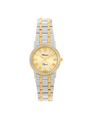 Case Two Tone Gold Plated Stainless Steel Dial Champagne Dial Champagne Roman Bracelet