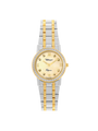 Case Two Tone Gold Plated Stainless Steel Dial Champagne Dial Star Stone Bracelet