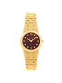 Case Gold Plated Stainless Steel Dial Brown Dial Star Stone Bracelet