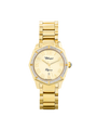 Case Gold Plated Stainless Steel Dial Champagne Dial Champagne Roman Bracelet