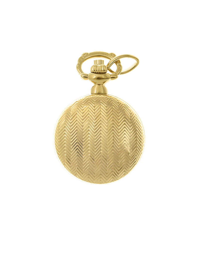 Case Gold Plated Dial White Dial Roman 