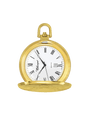 Case Gold Plated Dial White Dial Roman 