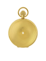 Case Gold Plated Dial Skeleton Dial Roman 