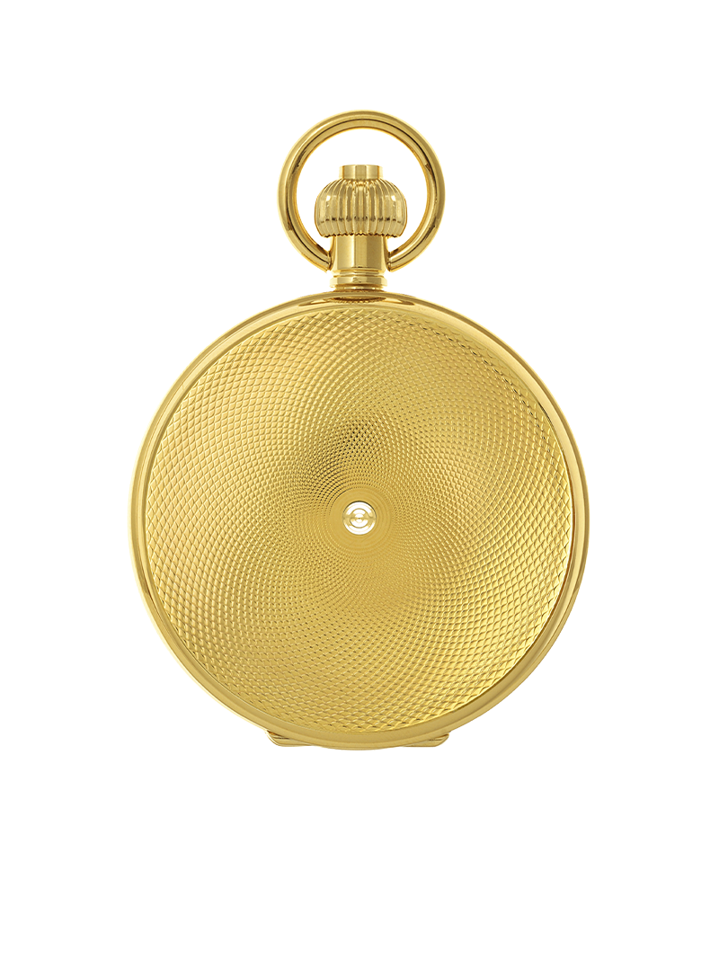 Case Gold Plated Dial Skeleton Dial Roman 
