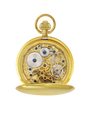 Case Gold Plated Dial Skeleton Dial Roman 