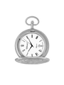 Case Rhodium Plated Dial White Dial Roman 