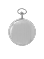 Case Rhodium Plated Dial White Dial Roman 
