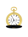 Case Gold Plated Dial White Dial Roman 
