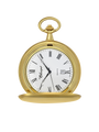 Case Gold Plated Dial White Dial Roman 